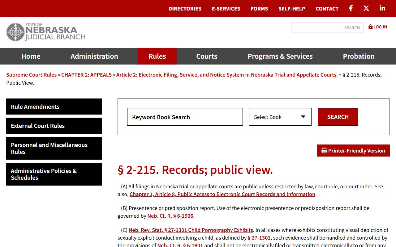 Nebraska electronic filing records public view rule for Douglas County