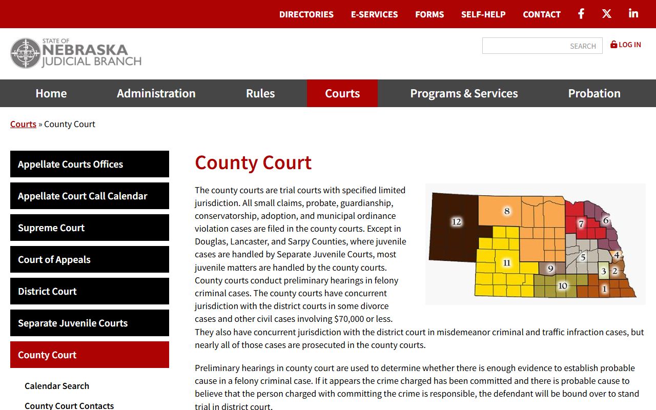 Nebraska statewide County Court overview for Douglas County